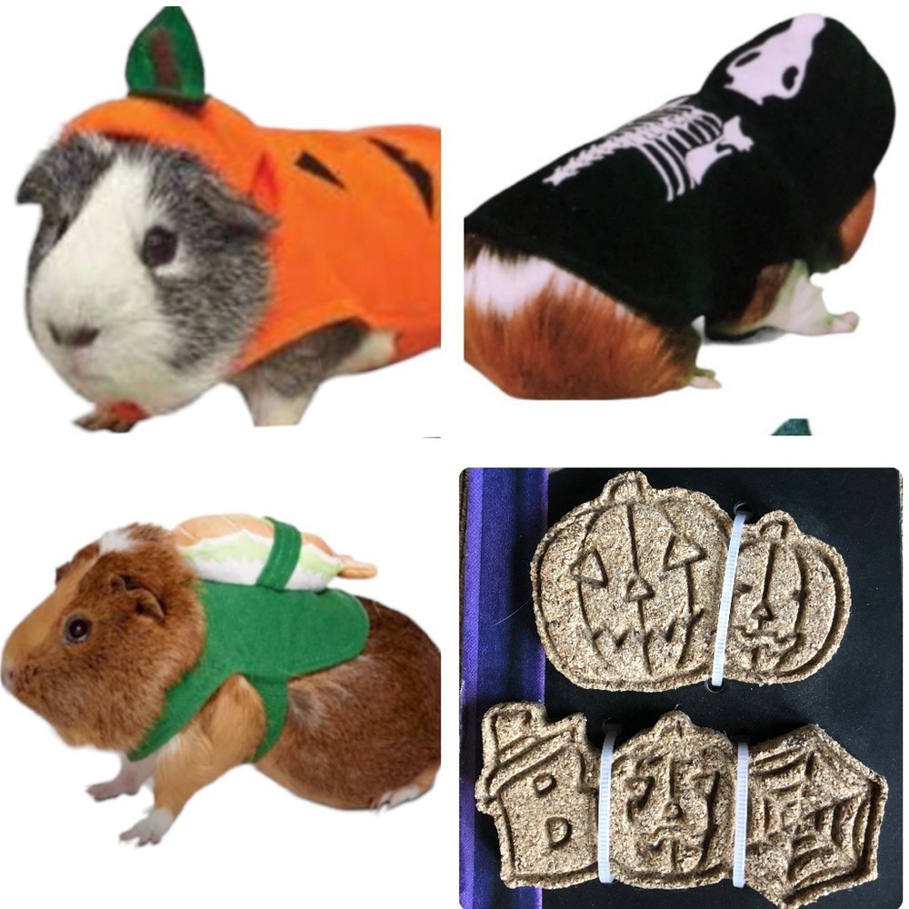 NWT Bootique Guinea Halloween costumes & chew toys